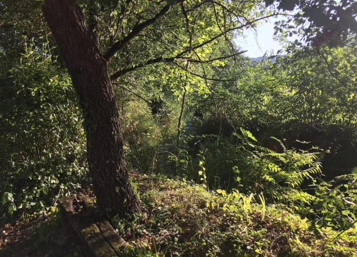 View from property 5, Orte Villa for 8 With Parking, Viterbo