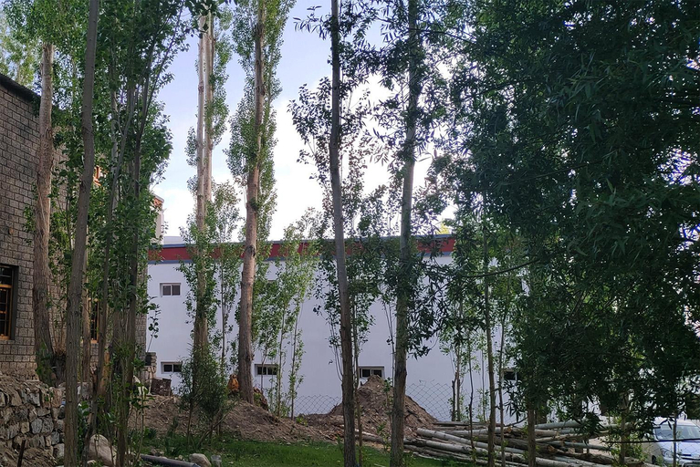 Others 3, Norbooling HomeStay, Leh Ladakh, Leh