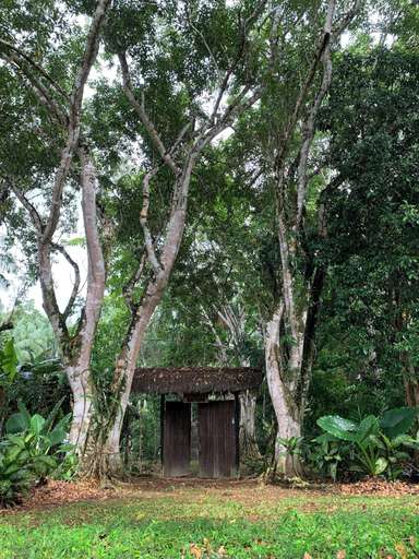 Others 5, Satori, Puerto Nariño