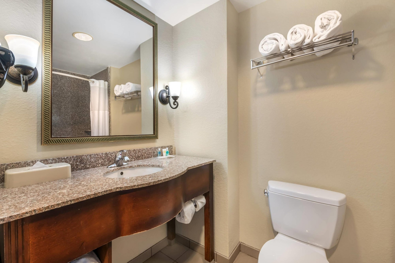 Bathroom 4, Comfort Suites Ocala North, Marion