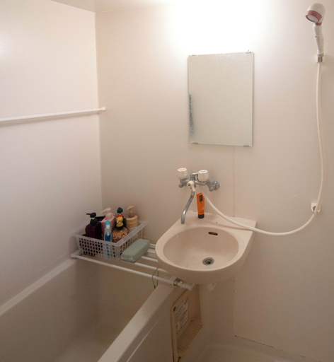Bathroom 4, Takenosou, Nasukarasuyama