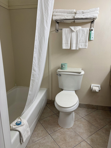 Bathroom 5, Gulfview Hotel on the Beach, Pinellas