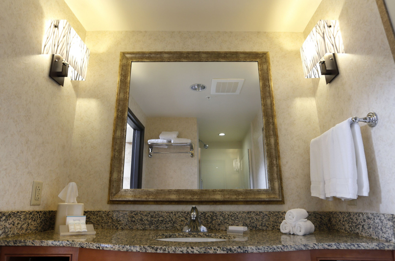 Bathroom 4, Hilton Garden Inn Cedar Falls, Black Hawk