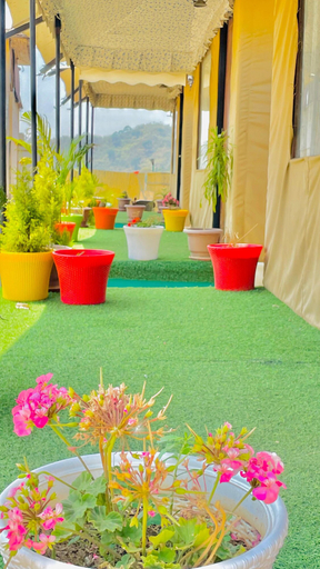 Others 4, Bambooz Bel cottage and camps Kasauli, Solan