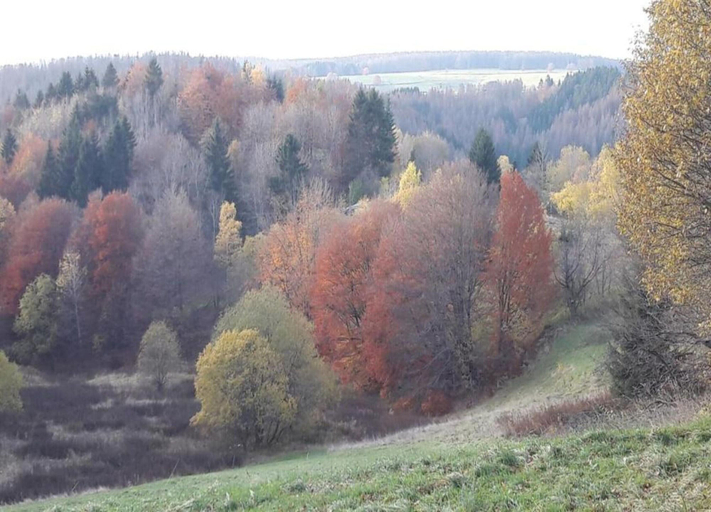 View from property 2, Spacious Semi-detached House With Wood Stove Located Directly on the Rennsteig, Hildburghausen