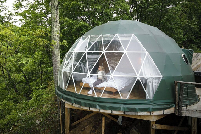 Exterior & Views 2, The Glamping Collective, Haywood