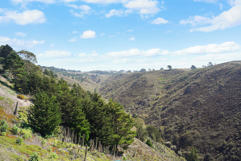 Others 4, Cozy 2BR Mountain View Private Deck, San Mateo