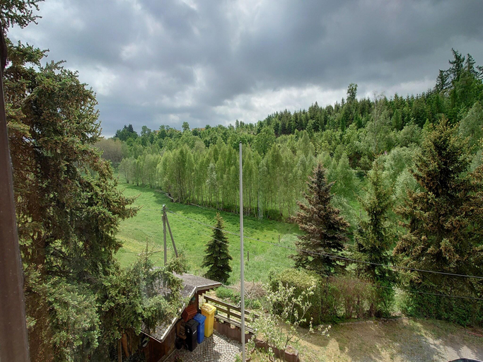 Others 5, Ferienhaus in Harzgerode, Harz