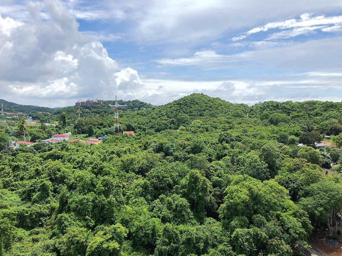 Scenery 20