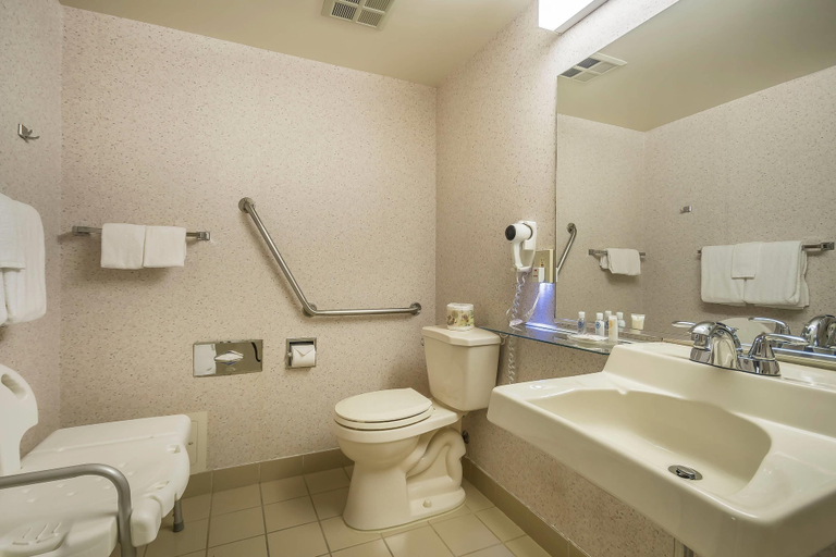 Bathroom 4, Comfort Inn, Fraser Valley