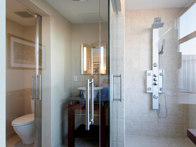Bathroom 5, Soho 54, New York