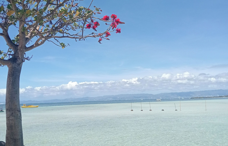 Others 5, Nalusuan Island Resort and Marine Sanctuary, Lapu-Lapu City