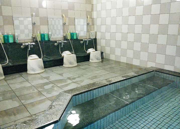 Bathroom 4, Hotel Route Inn Fujieda Ekikita, Fujieda