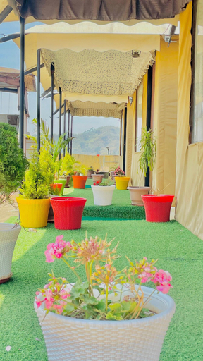 Others 5, Bambooz Bel cottage and camps Kasauli, Solan