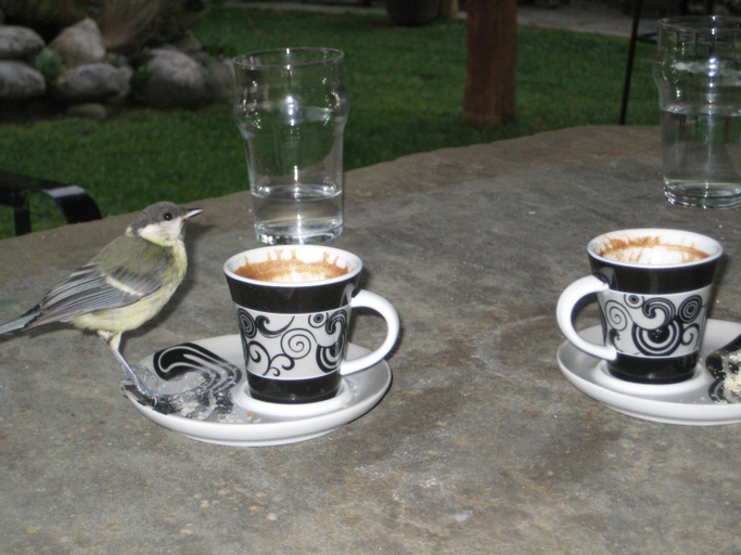 Food & Drinks 5, Kalliopi, Epirus