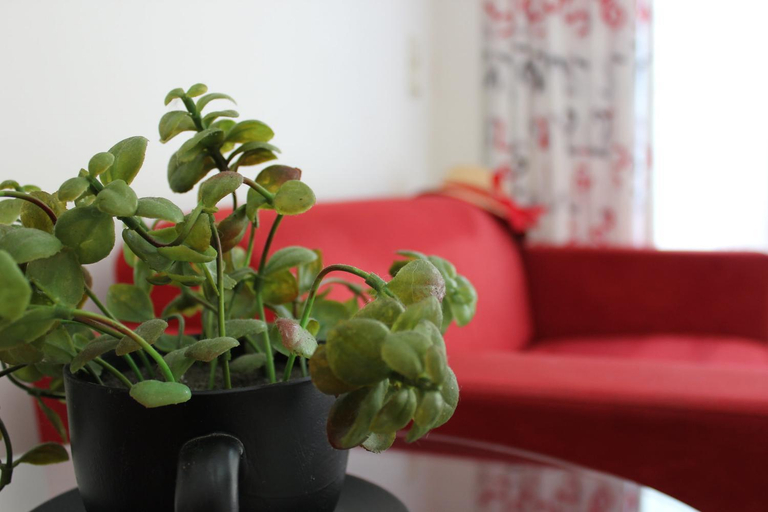 Public Area 3, Filmar Hotel, South Aegean