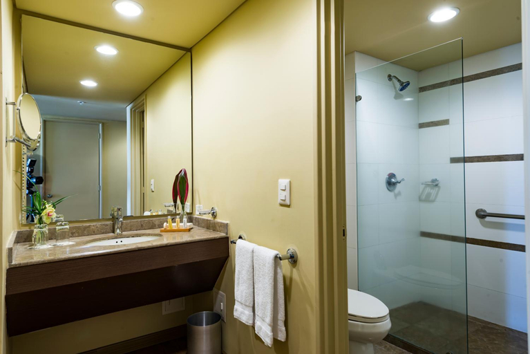 Bathroom 4, Movich Hotel de Pereira, Dosquebradas