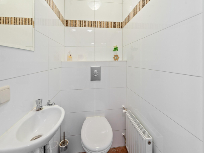 Bathroom 3, Farmhouse in Eastermar near De Leijen River, Tytsjerksteradiel