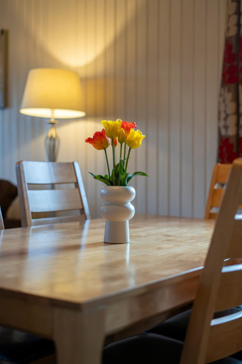 Others 5, 3 Bedroom Lodge - Hunters Quay, Argyll and Bute