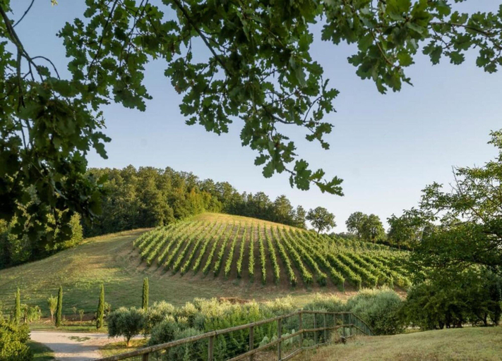 View from property 4, Orte Villa for 8 With Parking, Viterbo