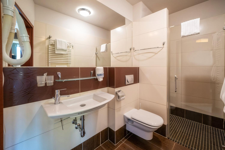 Bathroom 2, Hotel Murowanica, Tatra