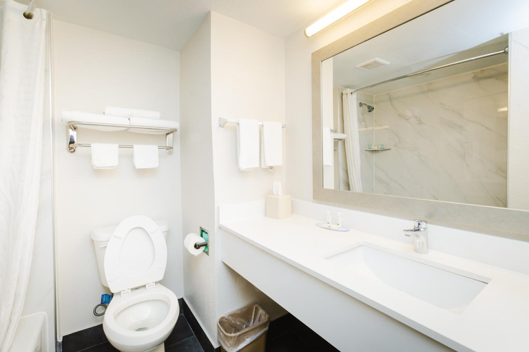 Bathroom 4, Quality Suites Houston Hobby Airport, Houston