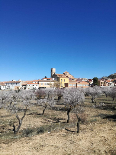 Exterior & Views 2, El Molino De Alatoz, Albacete