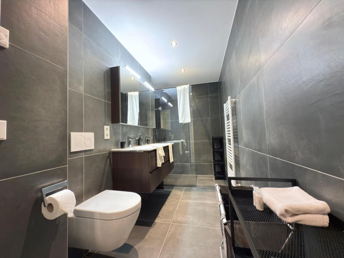 Bathroom 2, Charming one bedroom flat with terrace, Esch-sur-Alzette