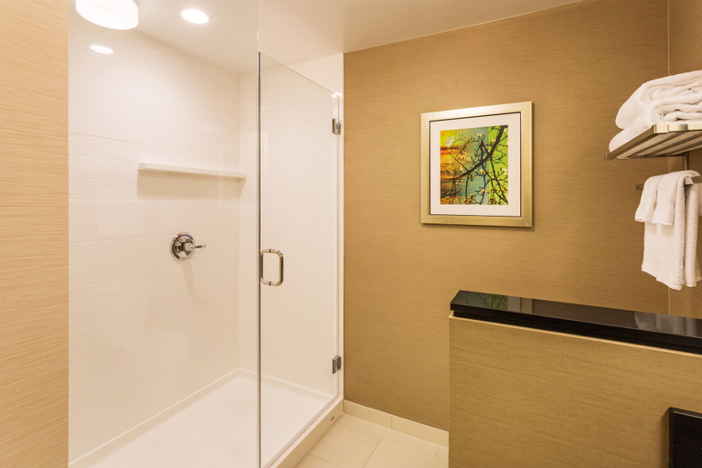 Bathroom 3, Fairfield Inn & Suites by Marriott Johnson City, Washington