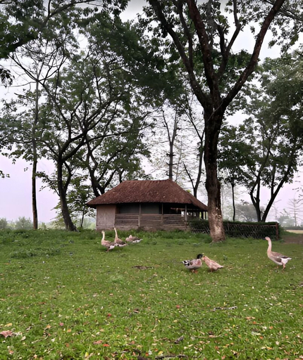 Others 5, Dhansiri Eco Camp By GRB, Golaghat