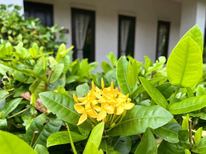 Exterior & Views 2, Baan Chuengkao Resort, Muang Ranong