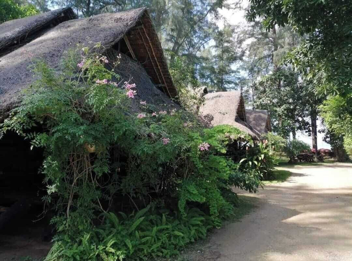 Scenery 17