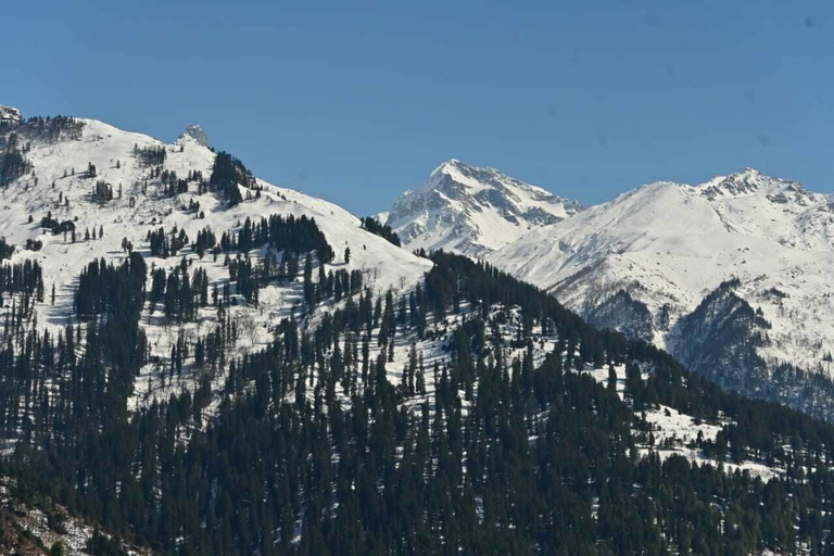 Others 4, Nomadic Den Manali, Kullu