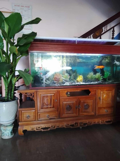 Others 2, nhà nghỉ Hằng Nga, Đồng Hới