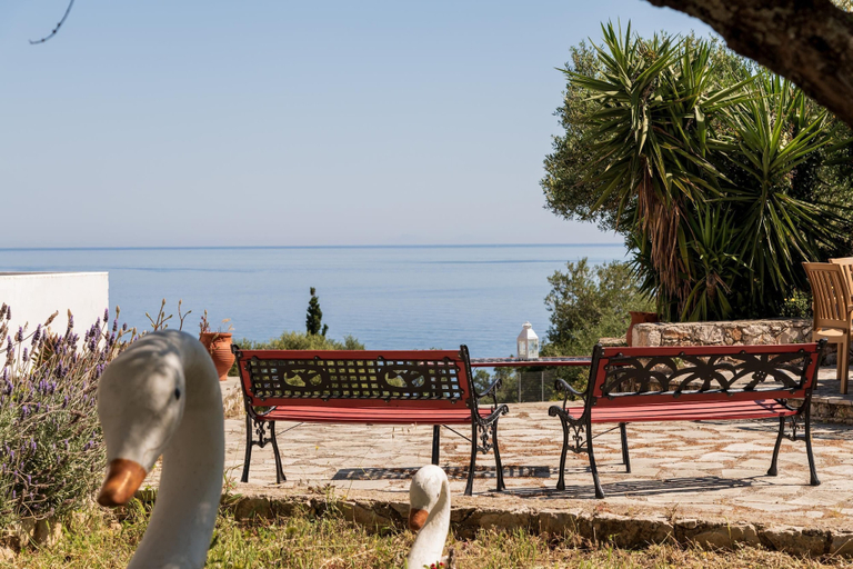 Others 5, Mikro Nisi Studios & Apartments, Ionian Islands