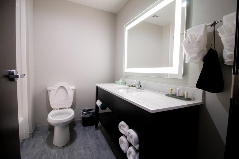 Bathroom 4, HOTEL PRYOR, Mayes