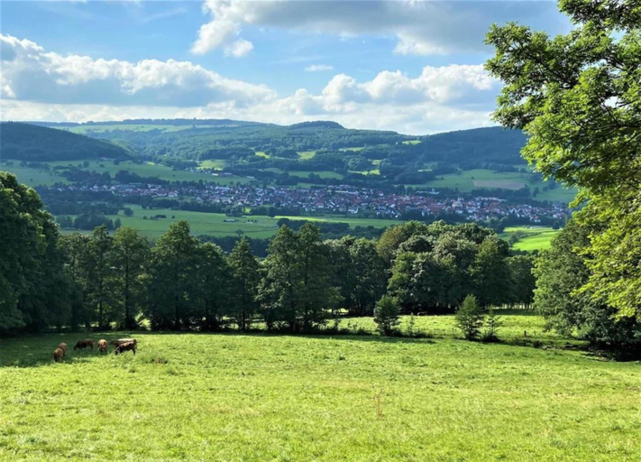 View from property 3, Charmantes Ferienhaus mit Naturgarten, Schmalkalden-Meiningen