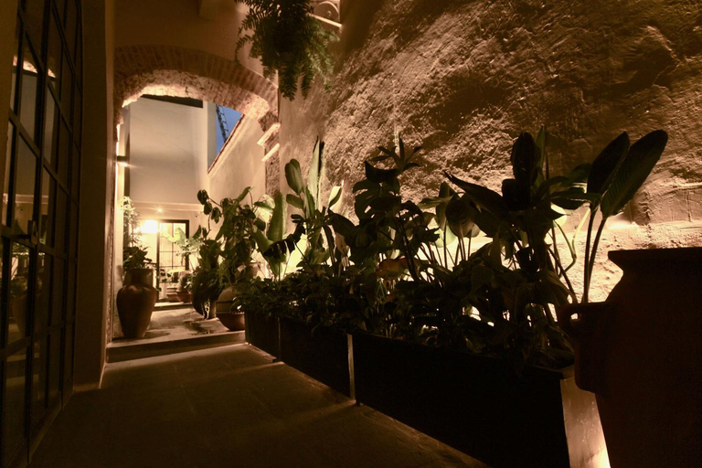 Public Area 2, Casa Realm, Querétaro