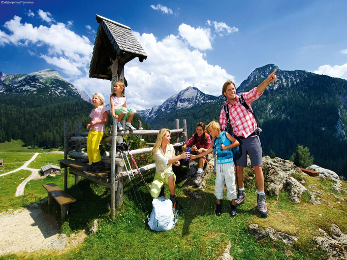Others 5, Chalet in Alps near Ski Slopes, Zell am See