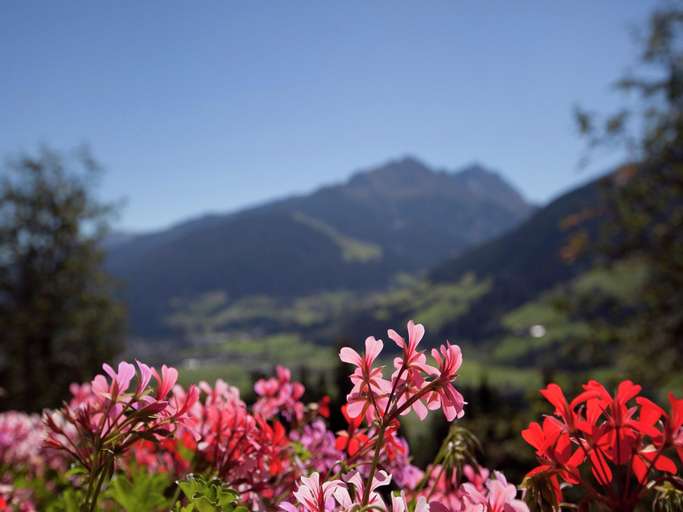 Others 5, Flat in Mittersill near Ski Lift, Zell am See