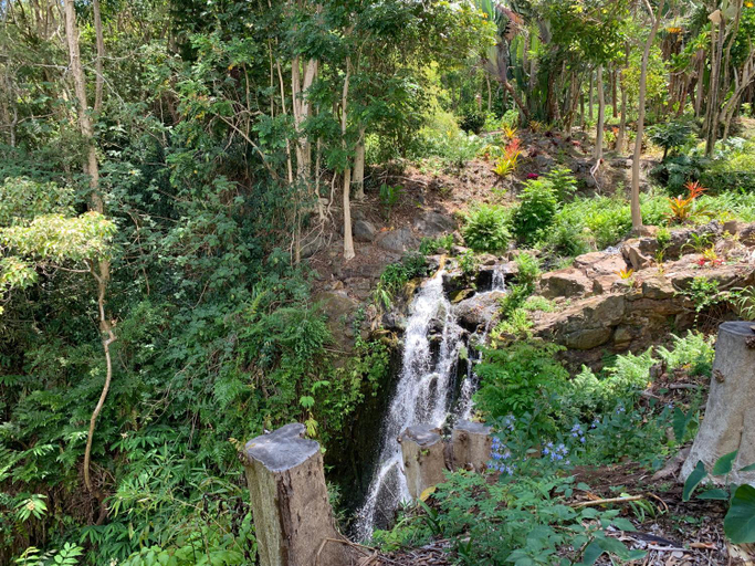 Others 2, ROMATIC WATERFALL CABIN in the Rainforest, Hawaii
