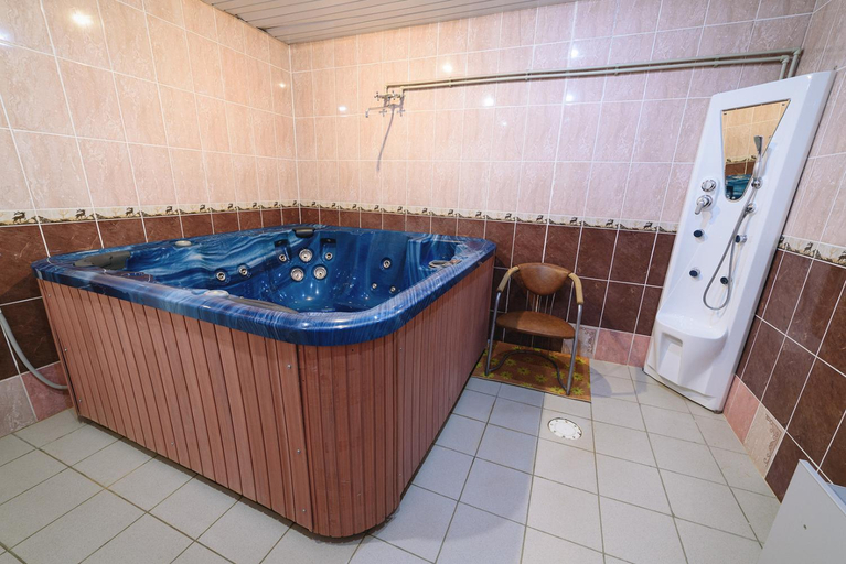 Others 4, Hotel Pantera, Arzamasskiy rayon