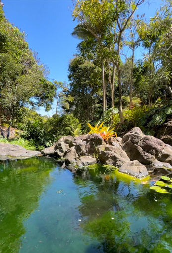 Others 1, ROMATIC WATERFALL CABIN in the Rainforest, Hawaii