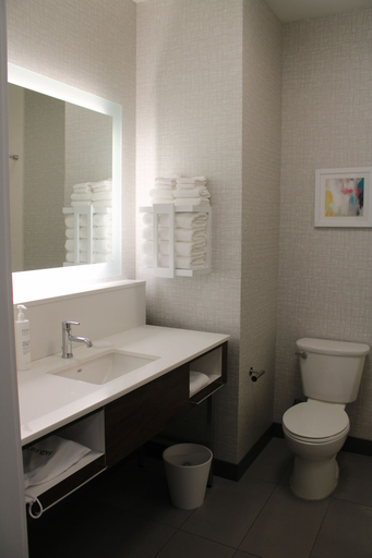 Bathroom 4, Hampton Inn & Suites Pekin Peoria Area, Tazewell