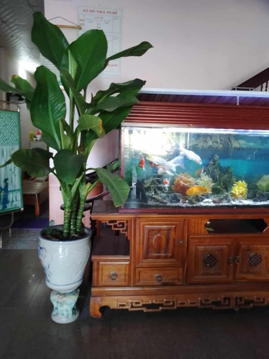 Others 3, nhà nghỉ Hằng Nga, Đồng Hới