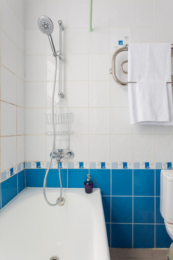 Bathroom 2, Park - Hotel Vselug, Penovskiy rayon