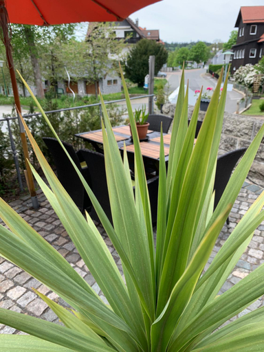 Others 2, Hotel-Pension Teutonia, Goslar