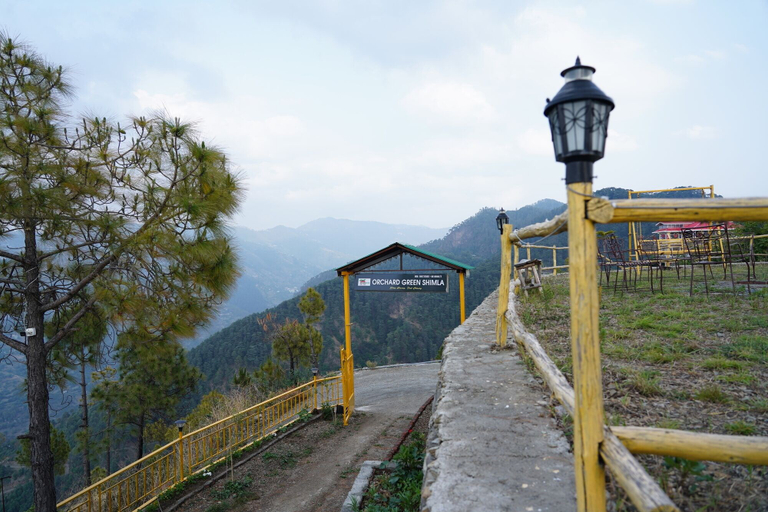 Others 4, Orchard Green Shimla, Shimla