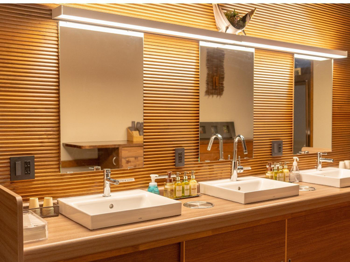 Bathroom 4, Azegamikan, Nozawaonsen