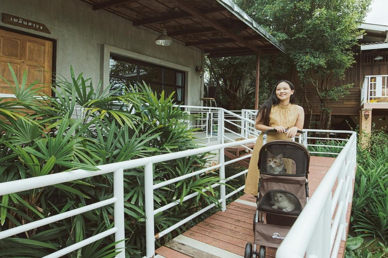 Others 5, Karaboon Wellness, Muang Phitsanulok